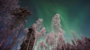 VIAGGIO A ROVANIEMI