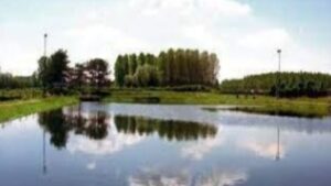 Gara di pesca a Villadossola (Vb) “Lago dei Sogni” - 09.11.2024