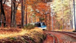 Il Treno del Foliage - 09.11.2024