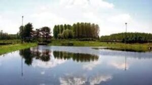 lago