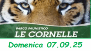 Cattura (19)
