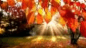 Benvenuto Autunno - Bregnano (CO) - 12.10.25