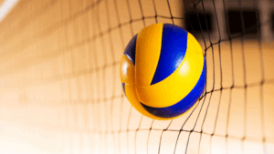 immagine Volley per sito ridimensionata