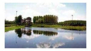 Immagine 2026-03-05 140651 (2)