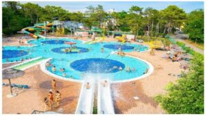 Immagine 2026-03-18 092051 (1)