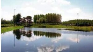 Immagine 2026-05-05 093740 (1)