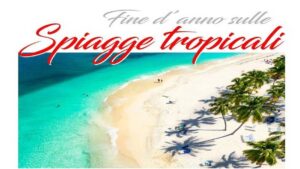 Immagine 2026-07-17 094717 (1)